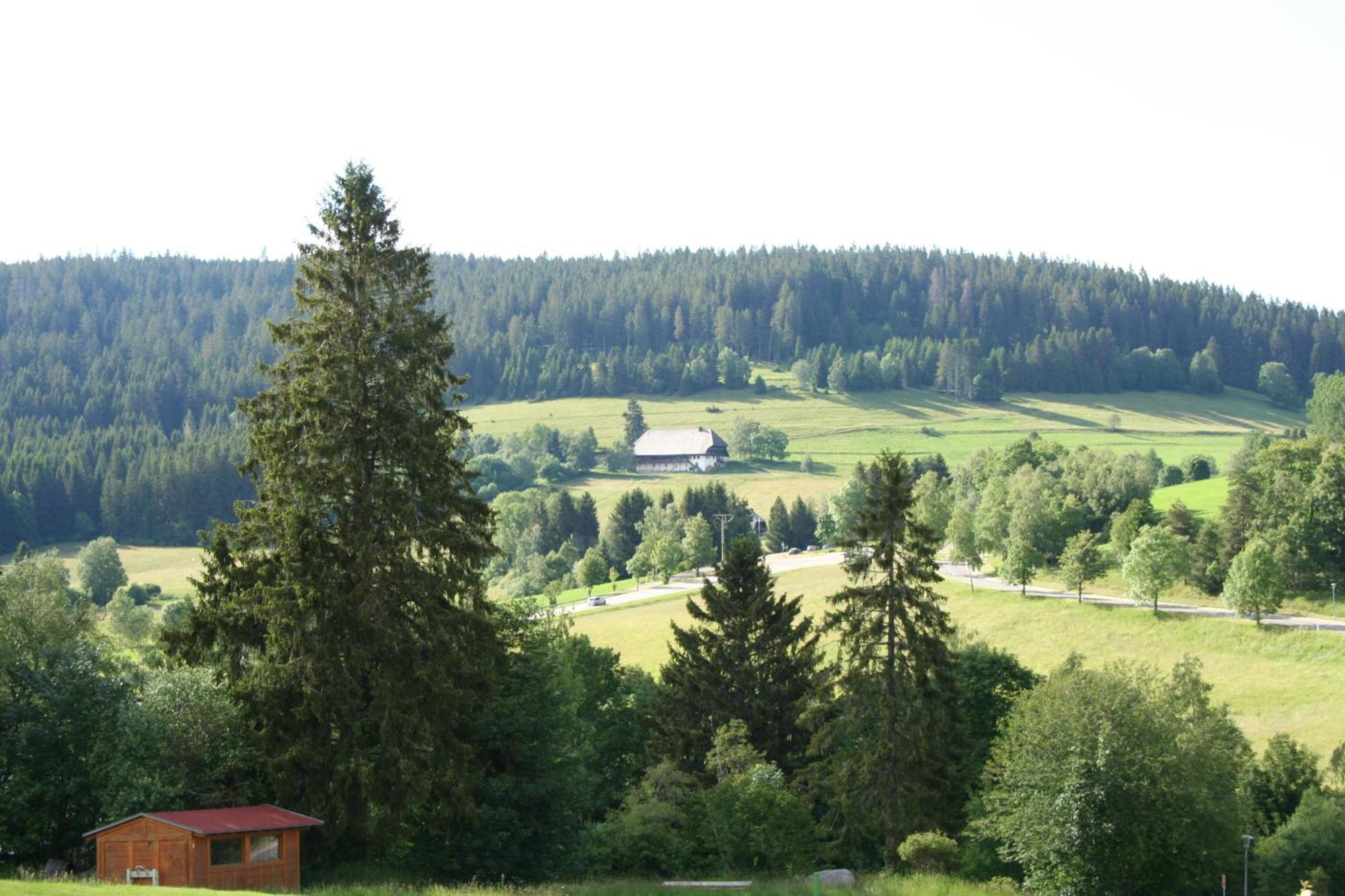 Bergsee Apartamento *