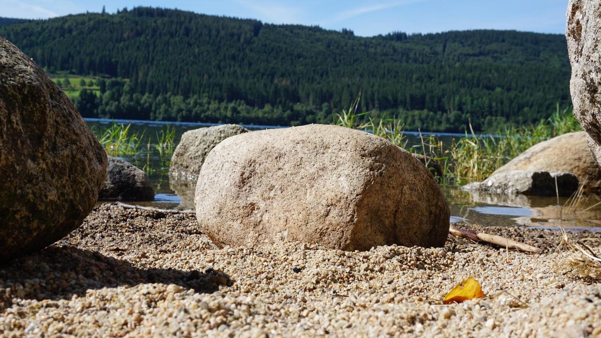Bergsee Schluchsee