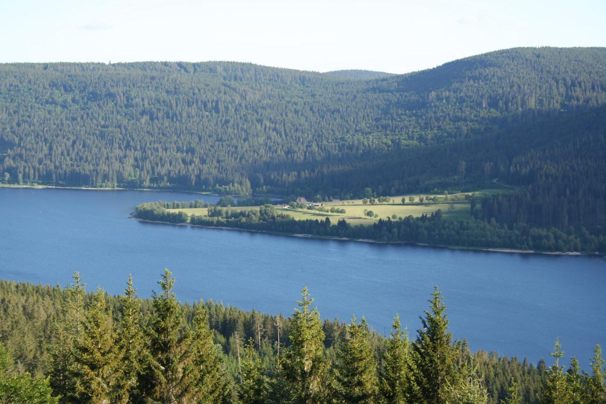 Bergsee * Schluchsee